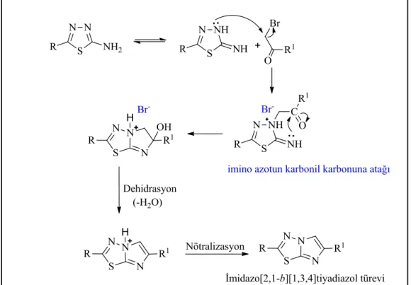 ġekil  2.19.  Levamisol  ve  5-formil-6-arilimidazo[2,1-b][1,3,4]tiyadiazol  sülfonamid‟in molekül yapısı