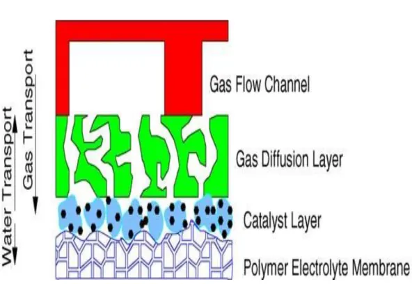 Figure 1.7. Gas diffusion layers (GDLs) [18]. 