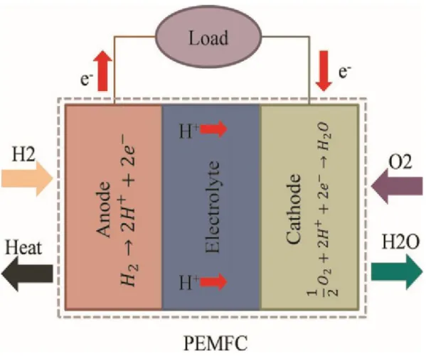 Figure 2.1. Explained the cell parts.  Generally, PEM fuel-cell like an automotive  battery which consist of two sides,  positive side (cathode) negative side  (anode)