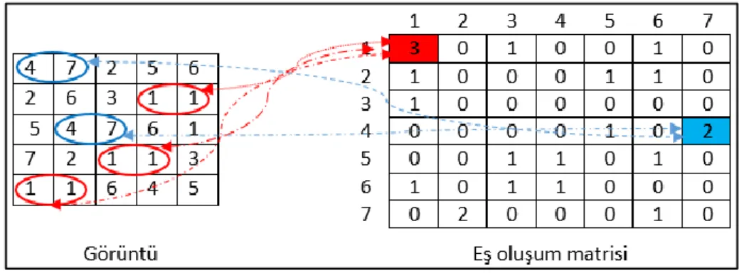 Şekil 4. 6. GSEM örneği. 