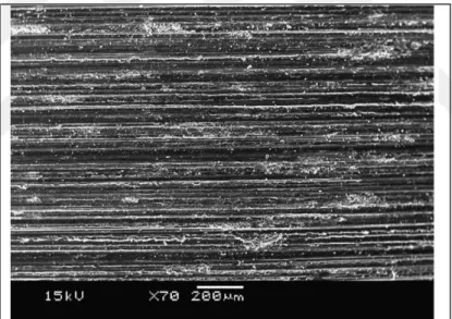 Figure 2.4. SEM Image of abrasive wear [23].  