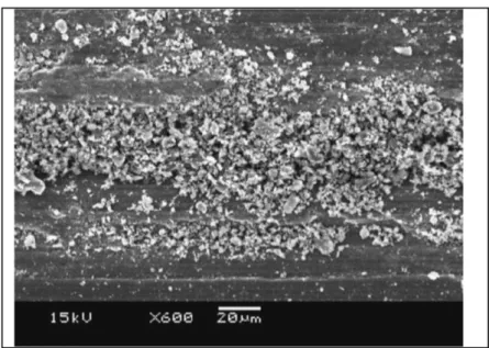 Figure 2.5. SEM Image of oxidation wear [23]. 