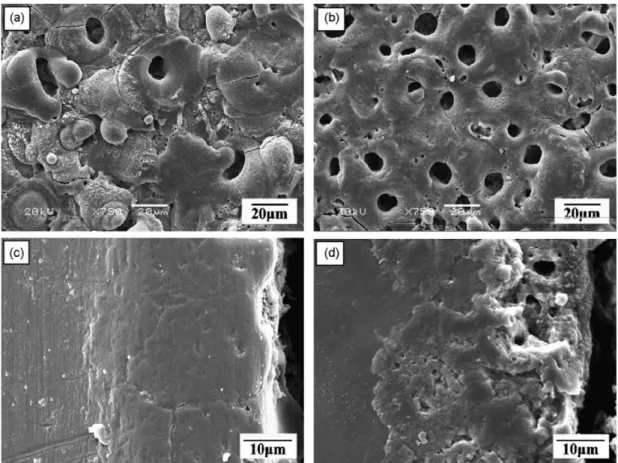 Figure 2.7. SEM images of MAO applied Mg alloys a and b of surfaces and c and d of  cross sections [27]