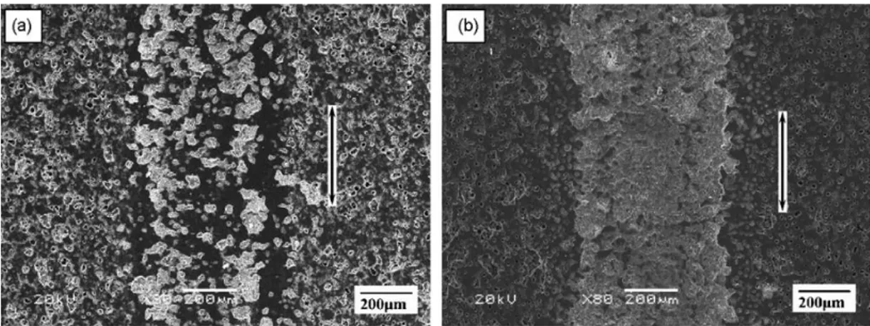 Figure 2.8. SEM images after wear test of MAO applied Mg alloys [27]. 