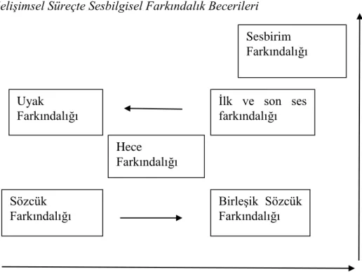 Şekil 3. Sesbilgisel Farkındalık Gelişimi 