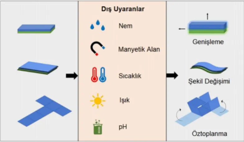 Şekil 2.1. Akıllı malzemelerin özellik değişimlerinde kullanılan uyaranların türleri ve  akıllı malzemelerde gözlemlenen yanıtlar (Tamay ve arkadaşları, 2019)