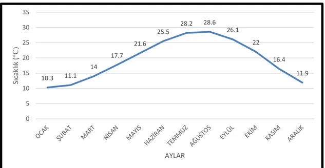 Grafik 10. Silifke aylık sıcaklık ortalamaları grafiği (MGM 1930-2017) 