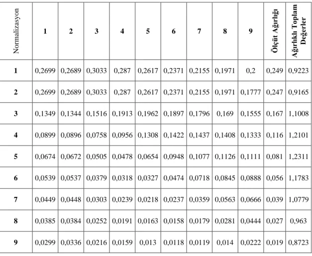 Tablo 29. Bakı Katmanı için Normalizasyon, Ölçüt Ağırlığı ve Ağırlıklı Toplam Değerler