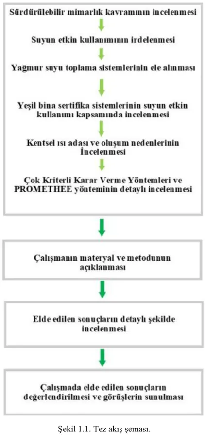 Şekil 1.1. Tez akış şeması.  