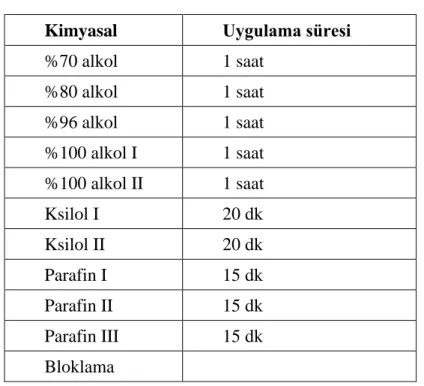 Tablo 2. Histolojik doku takibi. 
