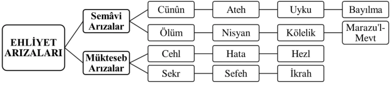Tablo 2. İslam Hukukunda Ehliyet Arızaları 