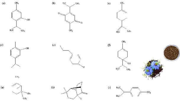 Şekil 2.4. Çörek otundaki aktif farmasötik bileşenlerin kimyasal formülleri a) timol,  b) timokinon, c) limonen, d) karvakrol, e) t-anetol benzen, f) 4-terpineol,  g) α-pinen, h) longifolen, ı) p-simen