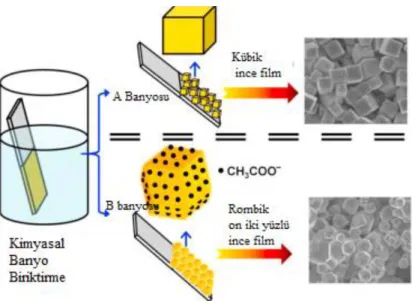 Şekil 2.4. Kimyasal banyo biriktirme yöntemiyle ince film kaplaması [53]. 