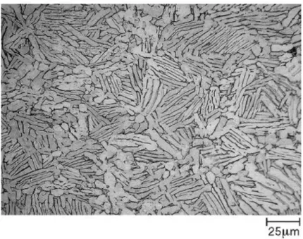 Figure 2.24. Casting Widmanstatten structure with α-phase in light color and β-phase  is dark color [61]