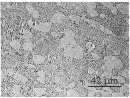 Figure  2.26.  Bimodal  microstructure  of  Ti-6Al-4V  with  transformed  β  surrounding  primary α shown through optical micrograph [64]