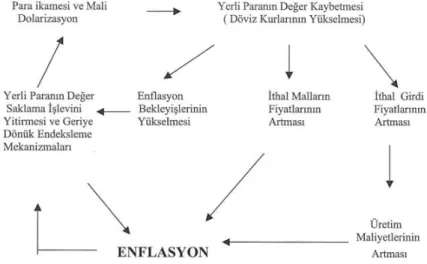 ġekil 4 : Döviz Kurundaki ArtıĢın Enflasyona Etkileri 