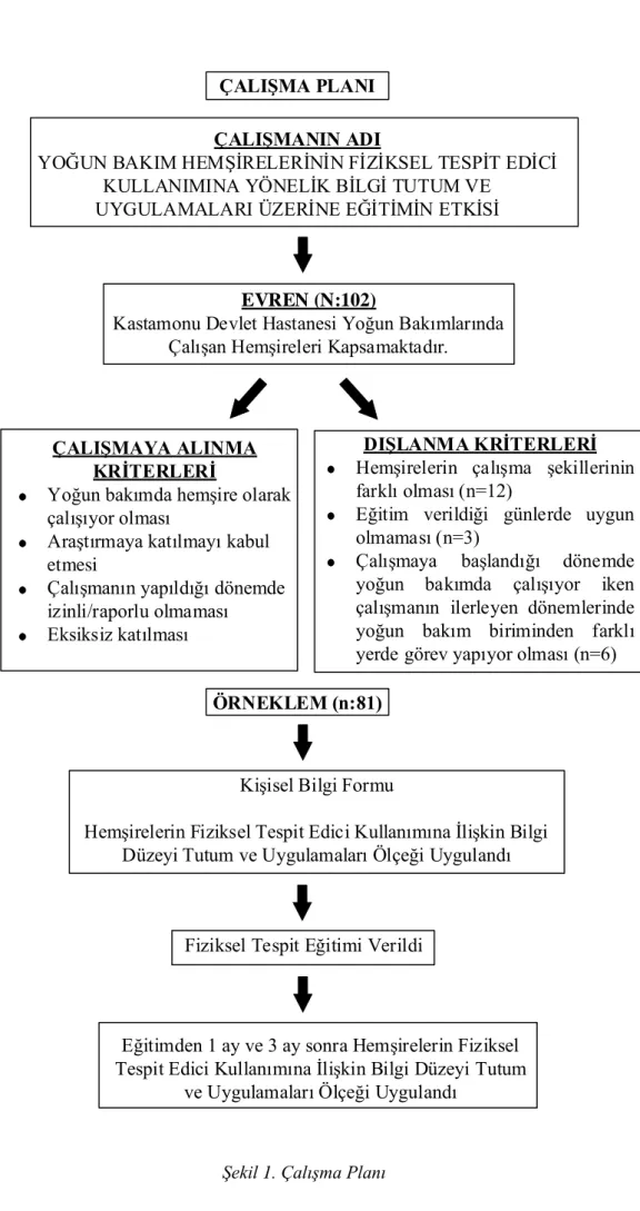 Şekil 1. Çalışma Planı 