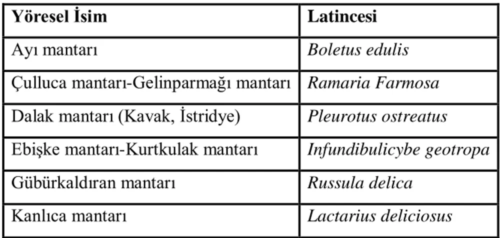 Tablo  4.  Azdavay  ilçesinde  doğal  ortamda  yetişen  mantarların  yöresel  isimleri  ve  Latinceleri