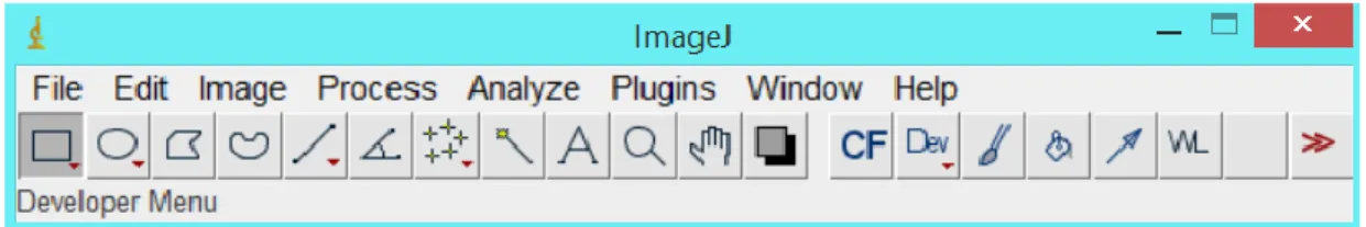 Şekil 8. ImageJ (V.153d) Windows görünümü. 