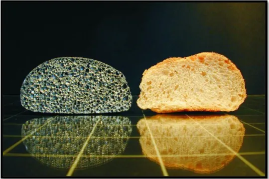 Şekil 2.2’de çinko köpük ve ekmek görülmektedir, ikisi de birbirine çok benzer ve 8  cm genişliğindedir
