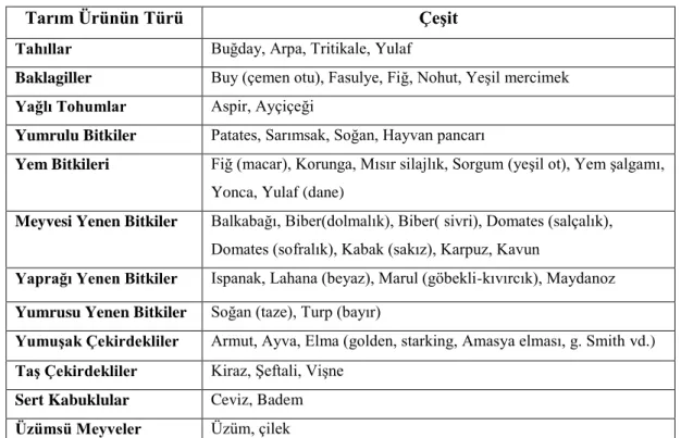 Tablo  7‟de  görüldüğü  gibi  Zile  Ġlçesinde  ürün  çeĢitliliği  Zile  ilçesinde  ülkenin  birçok yerine göre fazladır bu durumda hem fiziki hem de beĢeri koĢulların etkisi vardır