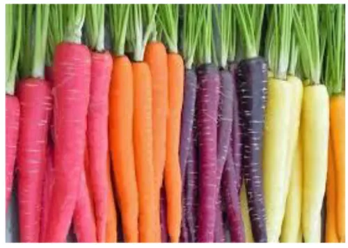 Figure 4.1.. Carrots [62]. 
