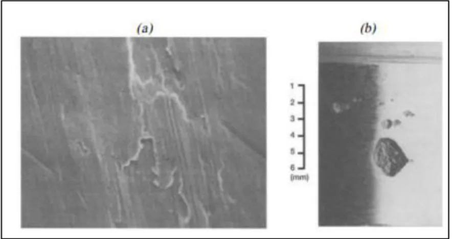 Figure 2.12. Examples of wear scar presences because of fatigue wear technique. (a)  Spalling wear and (b) Pitting wear [61]