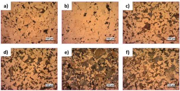 Şekil 6.1. a) Fe-0.25 Gr, b) Fe-0.25 GNP, c) Fe-0.50 Gr, d) Fe-0.50 GNP, e) Fe-0.75  Gr, f) Fe-0.75 GNP optik görüntüleri