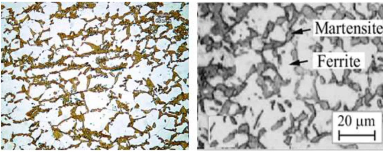 Figure 2.3.The microstructure of DP steel. 