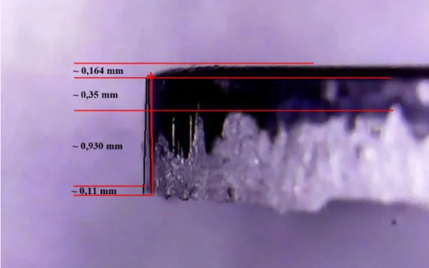 Figure 5.3. Cutting surface image, formed as a result of punching test performed with  flat punch