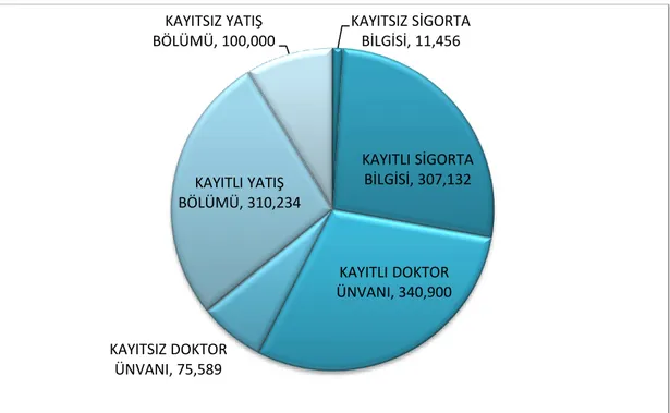 Şekil 6.3. Veri setinde bulunan kayıtlı ve kayıtsız veri sayıları. 