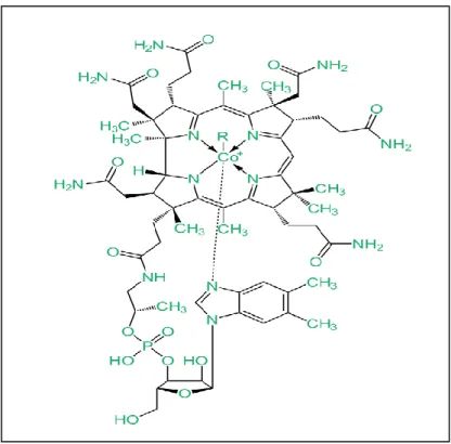 Şekil 2.3. Vitamin B12 (Kobalamin). 