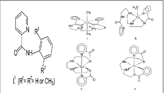 Şekil 2.5. Amit ligant ve bakır kompleksi. 