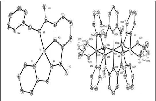 Şekil 2.6. Mononükleer kompleks ve trinükleer kompleksin kristal yapıları [23]. 