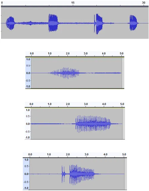 Figure 3.4. Segmentation of bird sounds. 