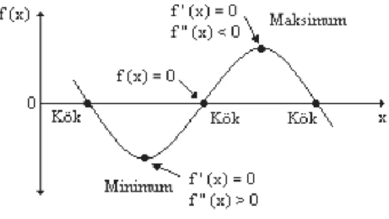 Şekil 2.1: Optimum değerler ve kökleri içeren fonksiyon [18]. 