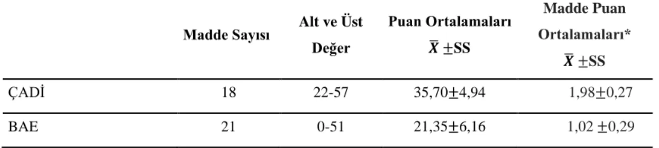 Tablo 6. ÇADİ ve BAE puan ortalamaları