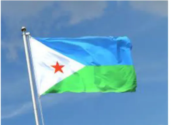 Şekil 1. Cibuti Bayrağı. 