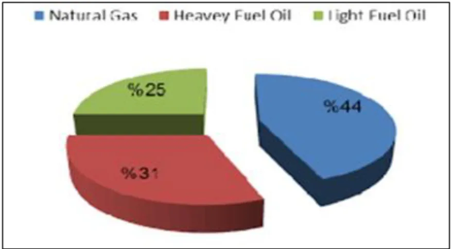 Figure 2.5. Types and percentage of gas and fuel used in electricity generation in 2012