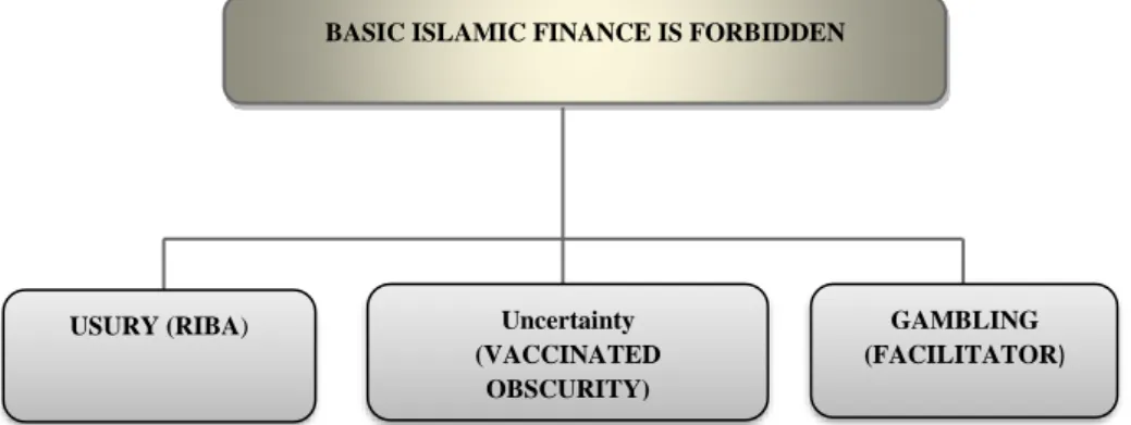 Figure 2. Islamic Finance Basic Forbidden. 