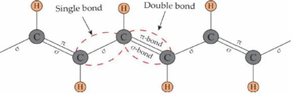 Figure 2.2. The structure of polyacetylene and the backbone containing conjuncted   double bonds