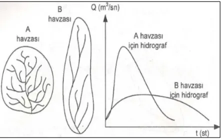 Şekil 1.3. Havza şeklinin hidrografa etkisi (Usul, 2008). 