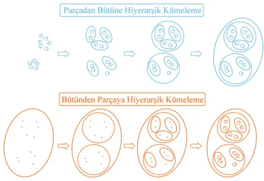 Şekil 3.2. Hiyerarşik kümeleme çeşitleri. 