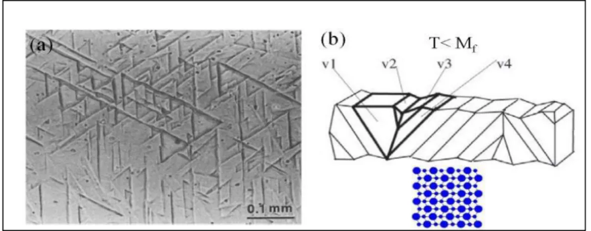 Figure 1.4. The self-accommodation of martensite variants [7]. 