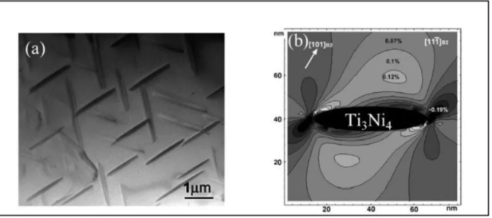 Figure  2.4  reveals  the  calculated  strain  field  surrounding  a  coherent  Ti3Ni4  precipitate  in  an  austenitic  Ni51Ti49  matrix