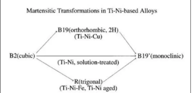 Figure 2.5. Possible experimentally observed martensitic phase transformation paths  in Nitinol-X shape memory alloys