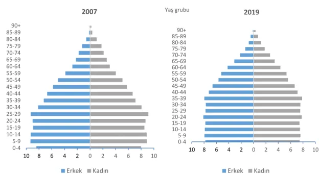 Şekil 12:  Nüfus Piramidi, 2007-2019 