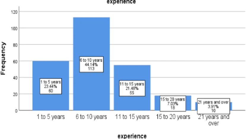 Figure 7. Percentage Distribution Experience Group of Respondents 