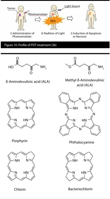 Figure 11. General structures of photosensitizers (6)δ-Aminolevulinic acid (ALA)