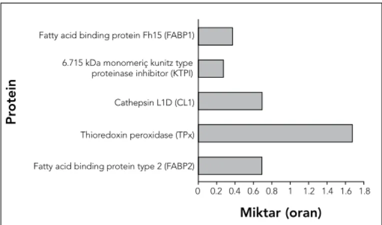 Şekil 2. Parazitlerle bekletildikten sonra, FTS içeriğinde  tanımlanan her bir proteine ait miktar (oran) gösterilmektedir